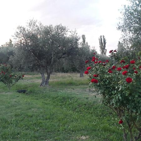Casa De Campo Las Olivas 산라파엘 외부 사진
