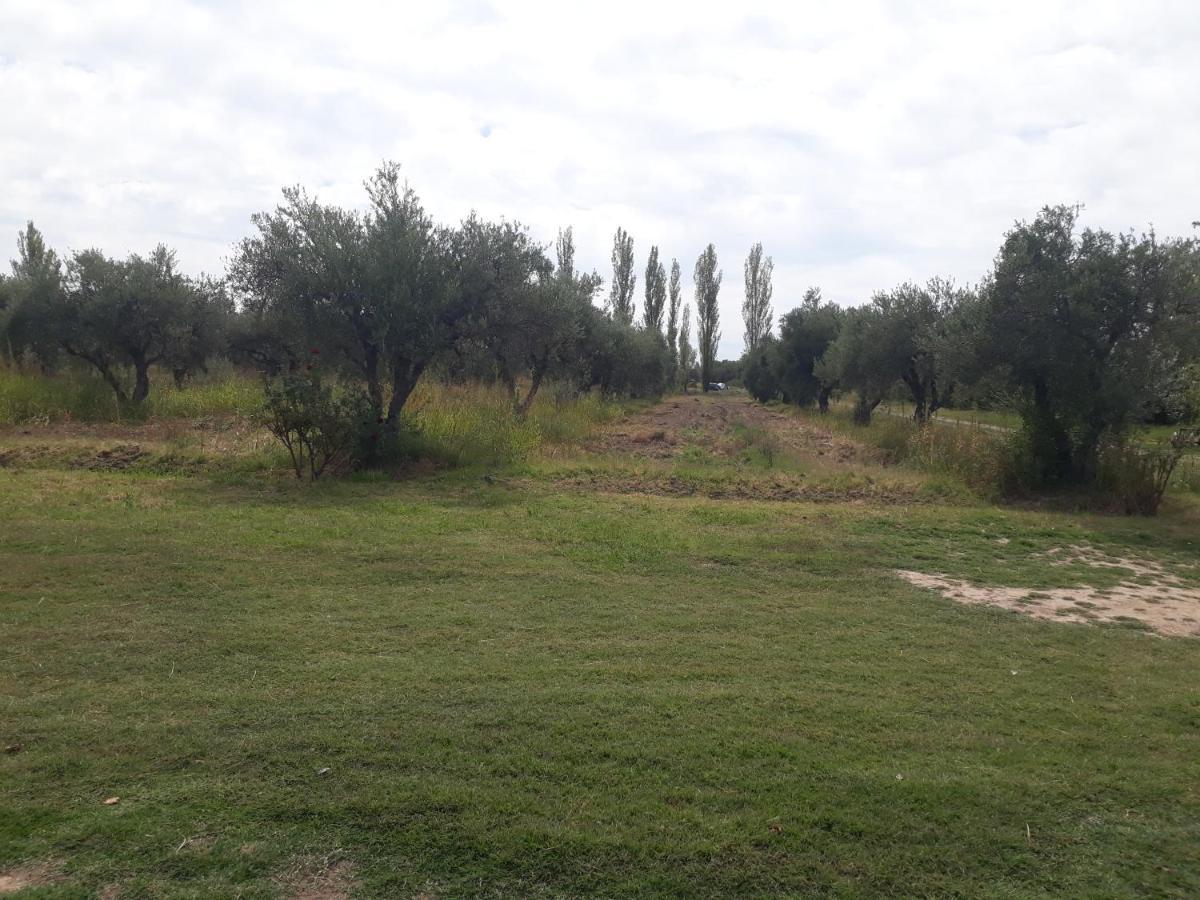 Casa De Campo Las Olivas 산라파엘 외부 사진