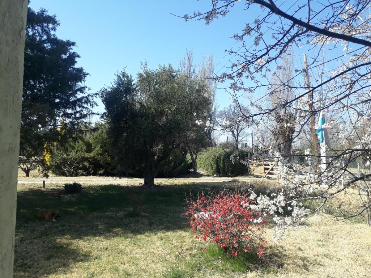 Casa De Campo Las Olivas 산라파엘 외부 사진