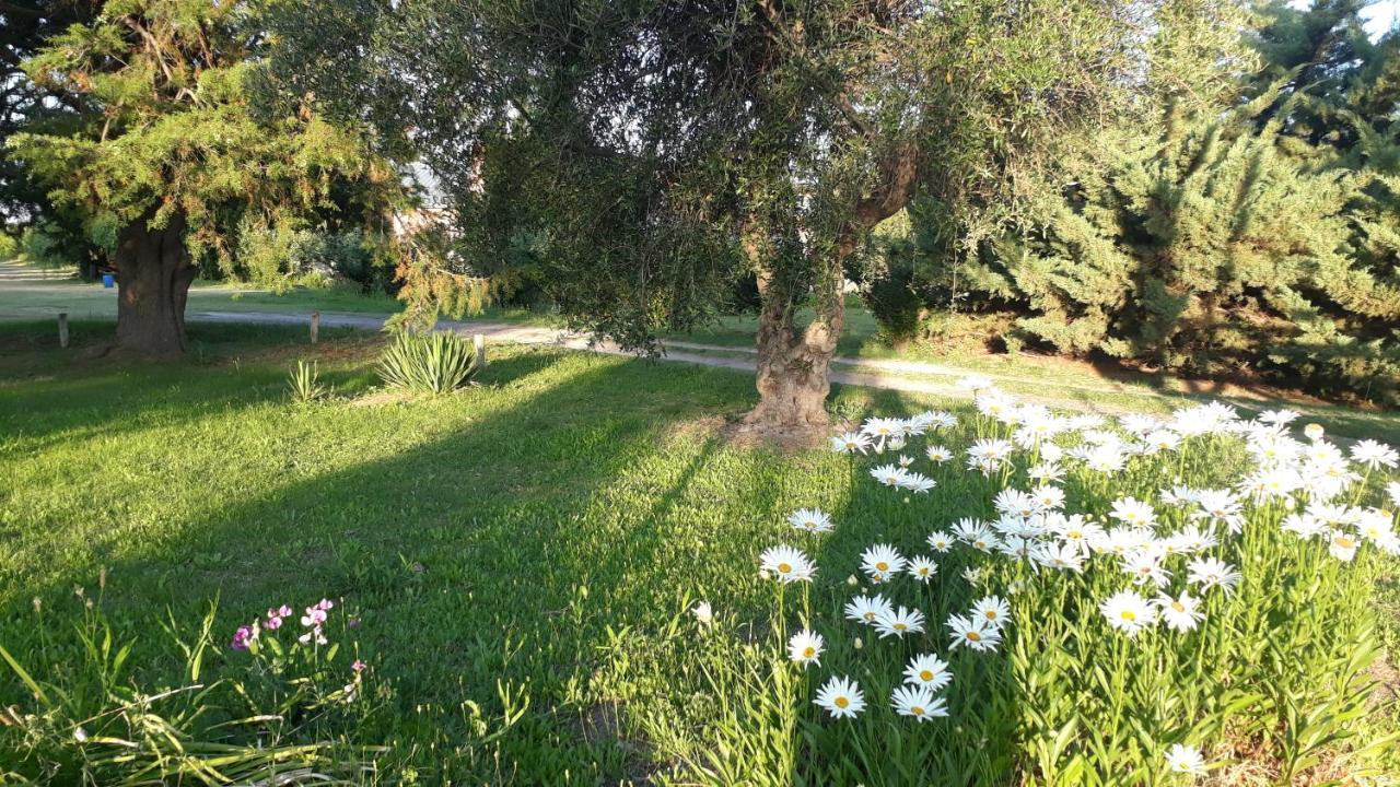 Casa De Campo Las Olivas 산라파엘 외부 사진