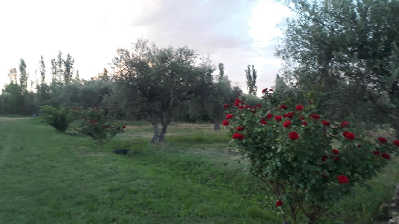 Casa De Campo Las Olivas 산라파엘 외부 사진