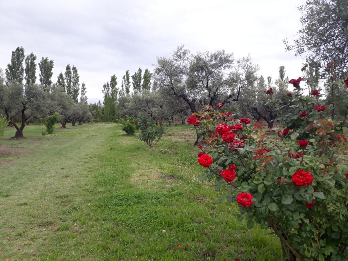 Casa De Campo Las Olivas 산라파엘 외부 사진