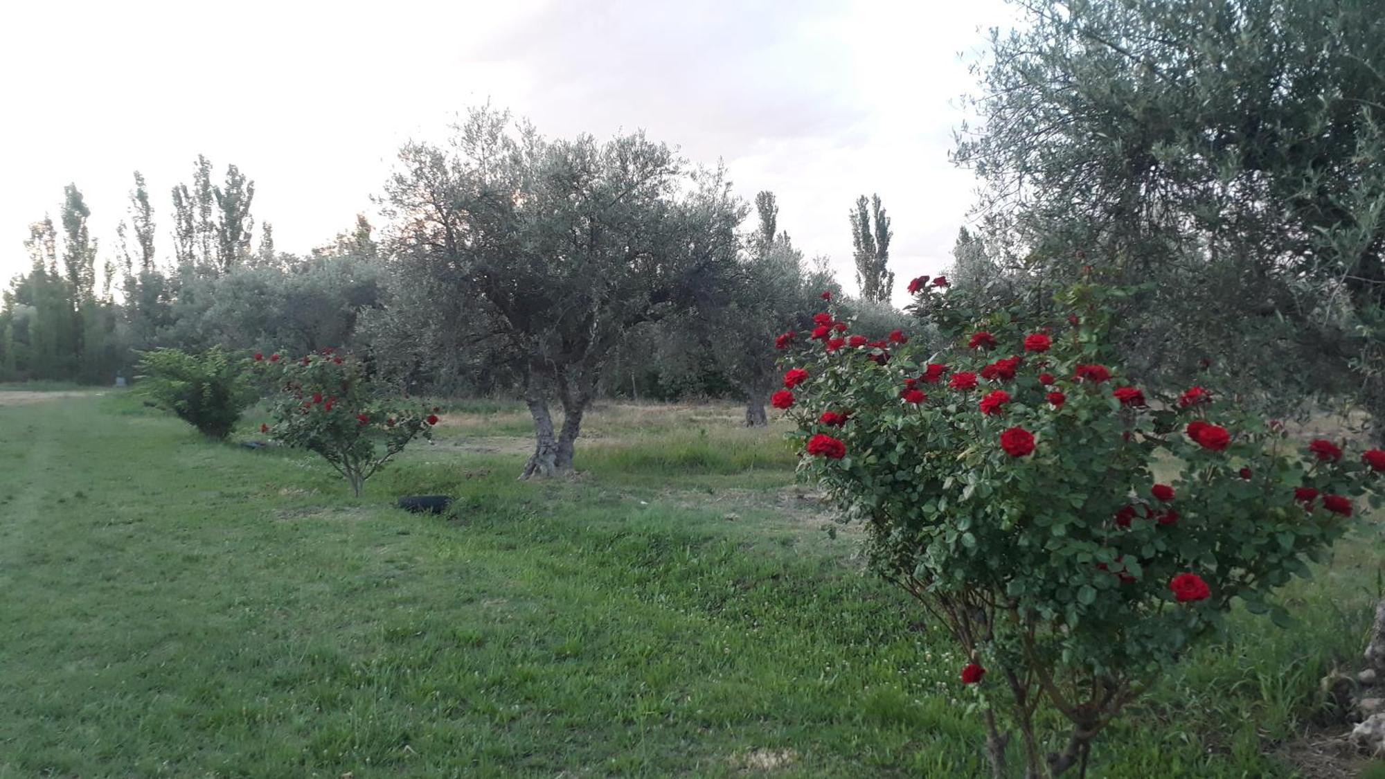 Casa De Campo Las Olivas 산라파엘 외부 사진